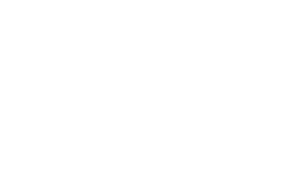 logo rodape